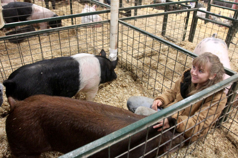 Coryell County Youth Fair